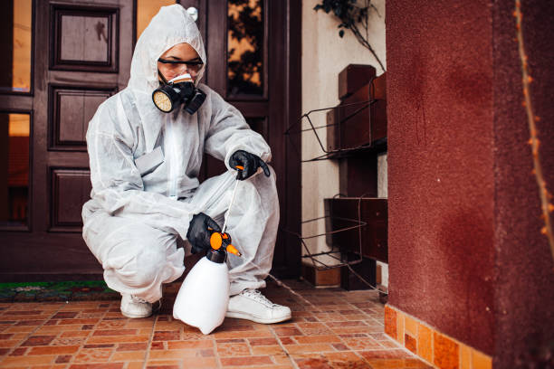 Reliable Cockroach Control contractor in Arabi, LA by Nex Pest Control